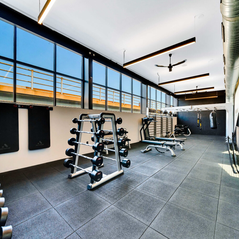 Free weights at City Fitness Fishtown